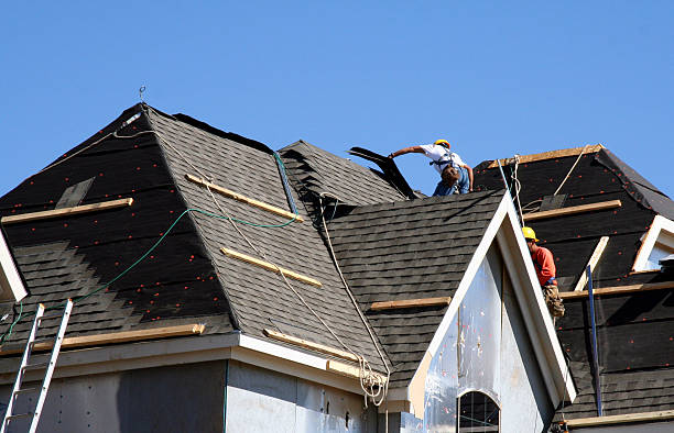Roof Gutter Cleaning in Prestonsburg, KY